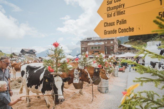 De la musique et des vaches attendent les visiteurs aux Crosets